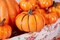 Twelve Different Sizes Large Faux Harvest Pumpkins with Artificial Orange Color for Fall, Thanksgiving, Halloween, and Seasonal Holiday Decoration